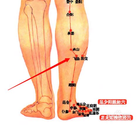 還跳穴|環跳:別名,名稱釋義,功能作用,治法,定位,解剖,主治,操作,臨床運用,。